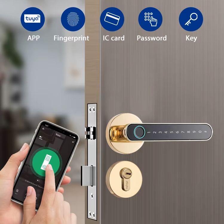 Tuya Biometric Fingerprint Sma - Letter Opener Brass ulasan dan harga